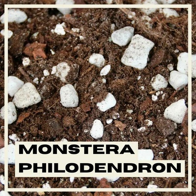 Rostlinkovo substrát Monstera a Philodendron 3 litry