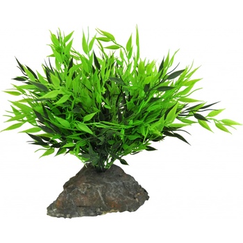 Lucky Reptile Bamboo Tufts 25 cm