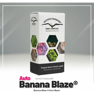 Dutch Passion AUTO Banana Blaze semena neobsahují THC 3 ks