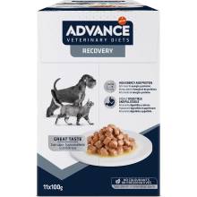 Advance Veterinary Diets Recovery 22 x 100 g