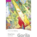 Flying Home + CD - Stephen Rabley