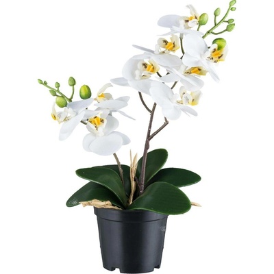 Gasper Umělá orchidej 28cm, bílá