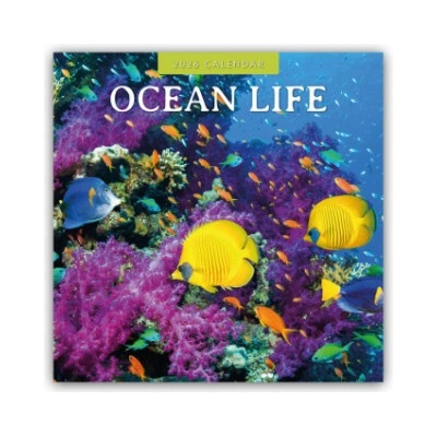 Ocean Life Leben im Ozean 16-Monats 2026