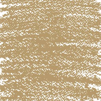 Van Gogh Olejový pastel Raw Umber 5