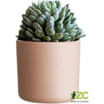 PLASTKON květináč Lora 14 cm bledě růžový