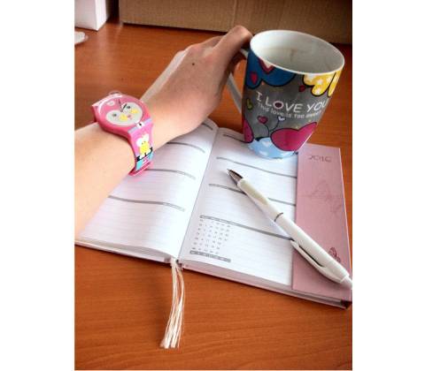 Swatch SUOZ190