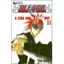 Bleach 11