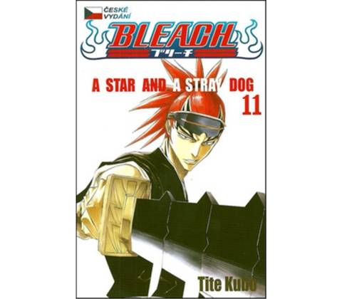 Bleach 11
