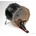 Evans BD18GB4