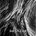 Be'lakor - Coherence LTD 2 LP