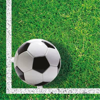 GoDan papírové ubrousky Fotbal 20ks 33x33cm