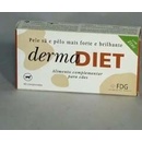 Dermadiet pro zdravou kůži a srst pro psy 60 tbl