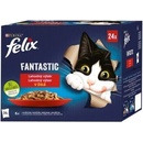 Krmivo pro kočky Felix Fantastic Lahodný výběr v želé 24 x 85 g