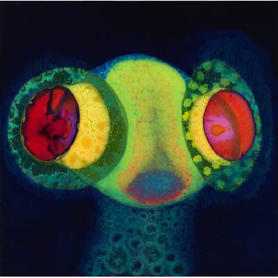 Thee Oh Sees - SORCS 80 (LP) (0657628446415)