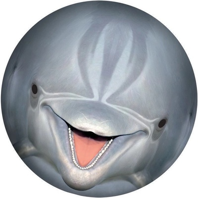 Mac Toys Sporto Podvodná lopta Delfín