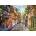 Ravensburger - Puzzle Davison: Meadow Hill Lane - 1 000 piese