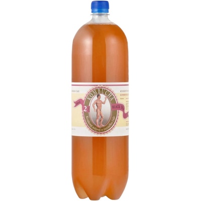 Stevikom Kombucha černá 2 l