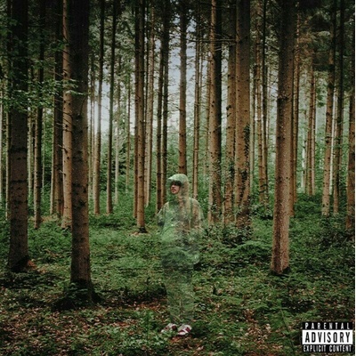 Grandson - I Love You, I'm Trying (LP) (0075678617119)