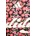 adidas тениска дамска x Farm Rio (KR0241)