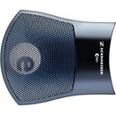 Sennheiser E901