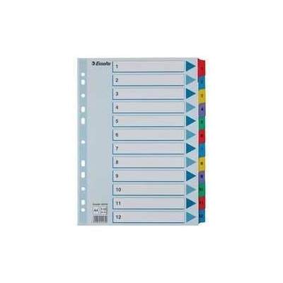 Zosilnené kartónové registre Esselte Mylar, A4, Mix farieb
