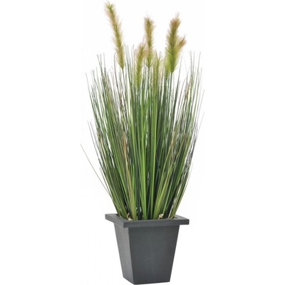 Vodní tráva v květináči, 60 cm