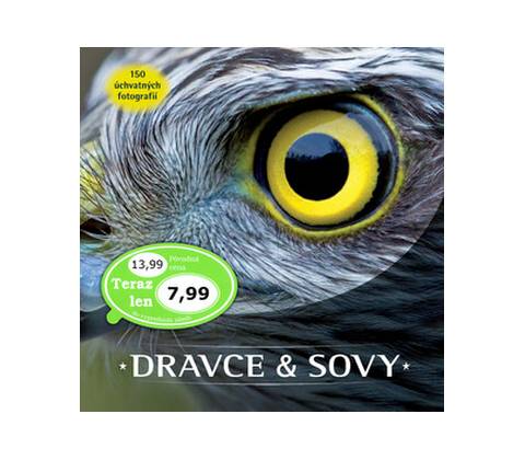 Dravce a sovy