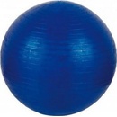 EXERCISE - V3TEC - 65cm