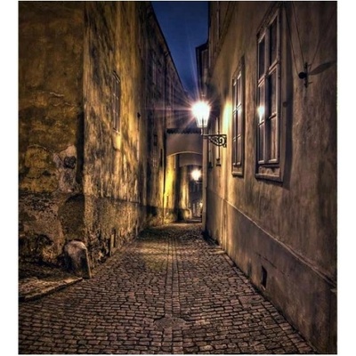 DIMEX ART Флизелинов фототапет алея 225 x 250 см