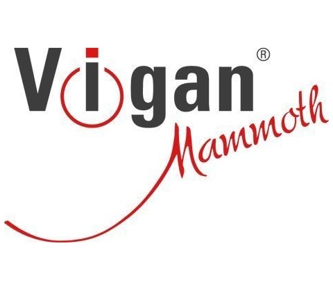 Vigan SKV2C