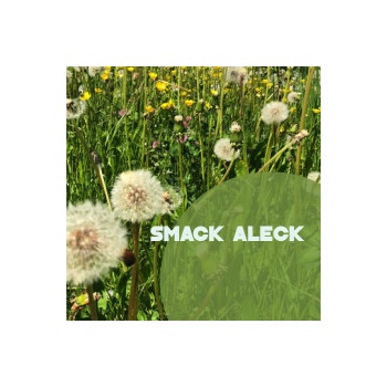 Smack Aleck - Unavoidable CD