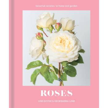 Roses | Jane Eastoe