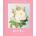Roses | Jane Eastoe