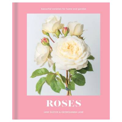 Roses | Jane Eastoe