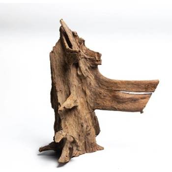 Rataj Mangrove Wood 0,5-0,8 kg