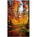 DIMEX ART Флизелинов фототапет разходка в гората 150 x 250 см