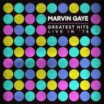 Marvin Gaye - Greatest Hits Live In '76 (LP) (602448227959)