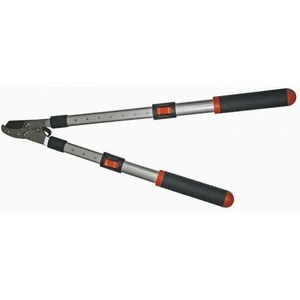 TopGarden 382910