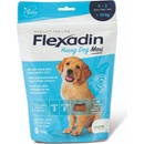Flexadin 4Life Young Dog Maxi žvýkací 60tbl