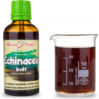 Bylinné kapky Echinacea echinacea kvet bylinné kvapky tinktúra 50 ml