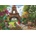 Anatolian - Puzzle Spring in Paris - 500 piese