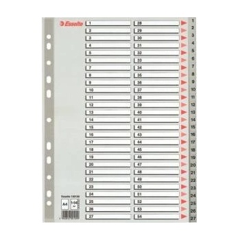Esselte Binder holders A4 PP grey 1-54 (10K154F)