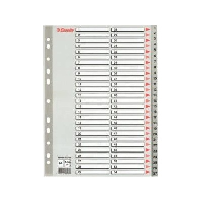 Esselte Binder holders A4 PP grey 1-54 (10K154F)