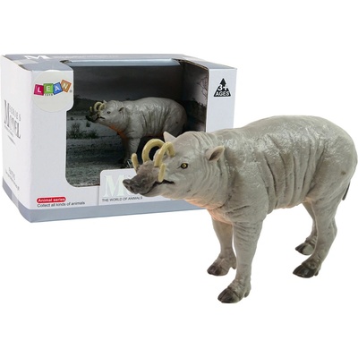 mamido Babirussa Sulaweska Zvieratá sveta
