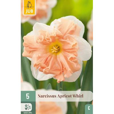 Maják Narcis Apricot Whirl "C+" 5 ks