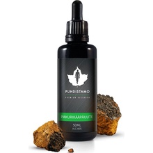 Puhdistamo Chaga Extract 50 ml