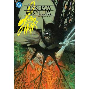 Batman: Arkham Asylum Living Hell Deluxe Edition (ISBN: 9781799506980)
