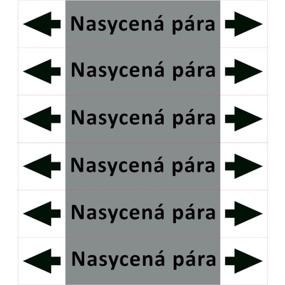 Nadrzenapalivo.cz Značení potrubí ISO 20560, nasycená pára PZA 009537