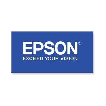 Epson S041379