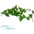 Lucky Reptile Jungle Vine Philo Vine ca. 200 cm